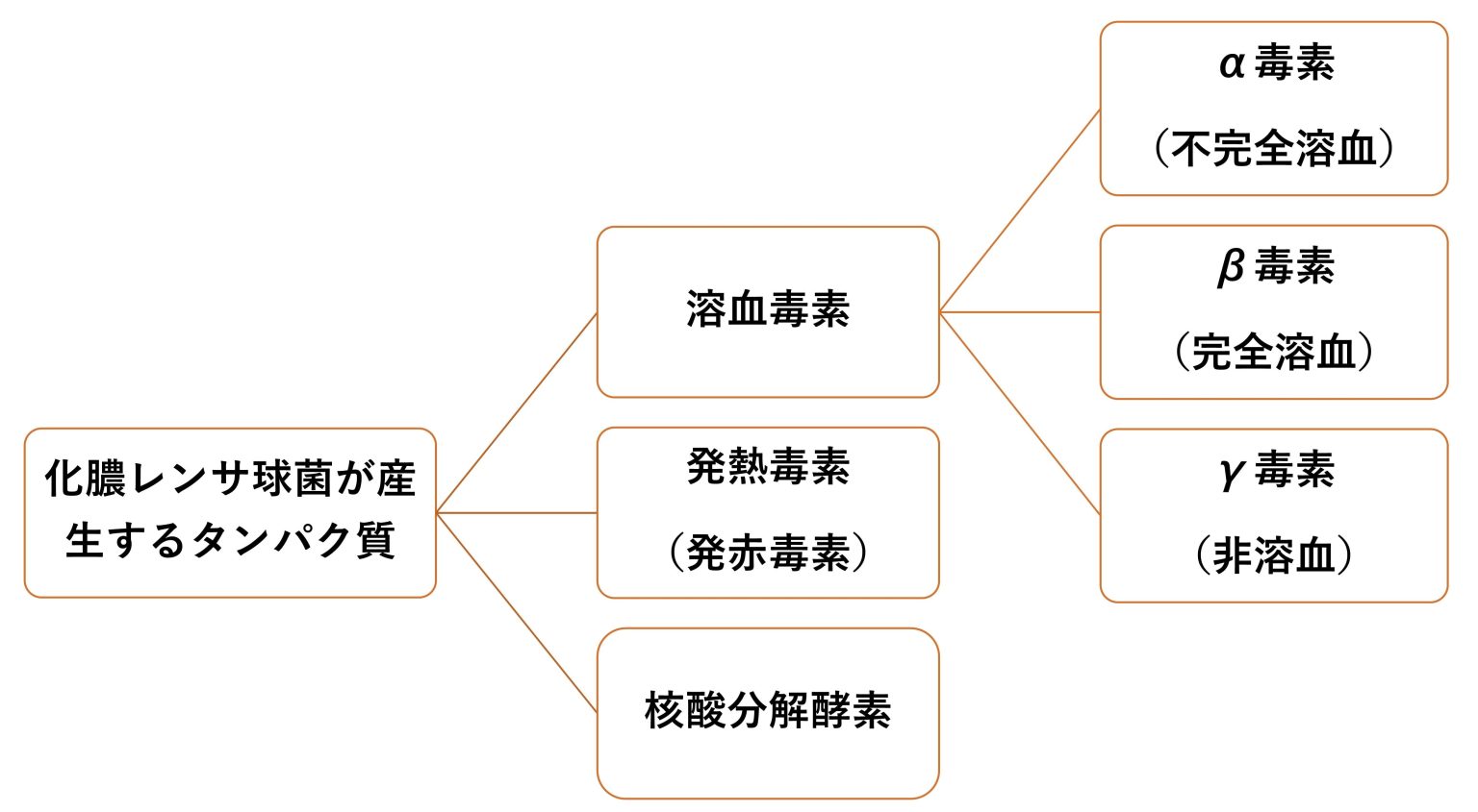 A群溶血性レンサ球菌(溶レン菌)感染症 | DRP医療情報館